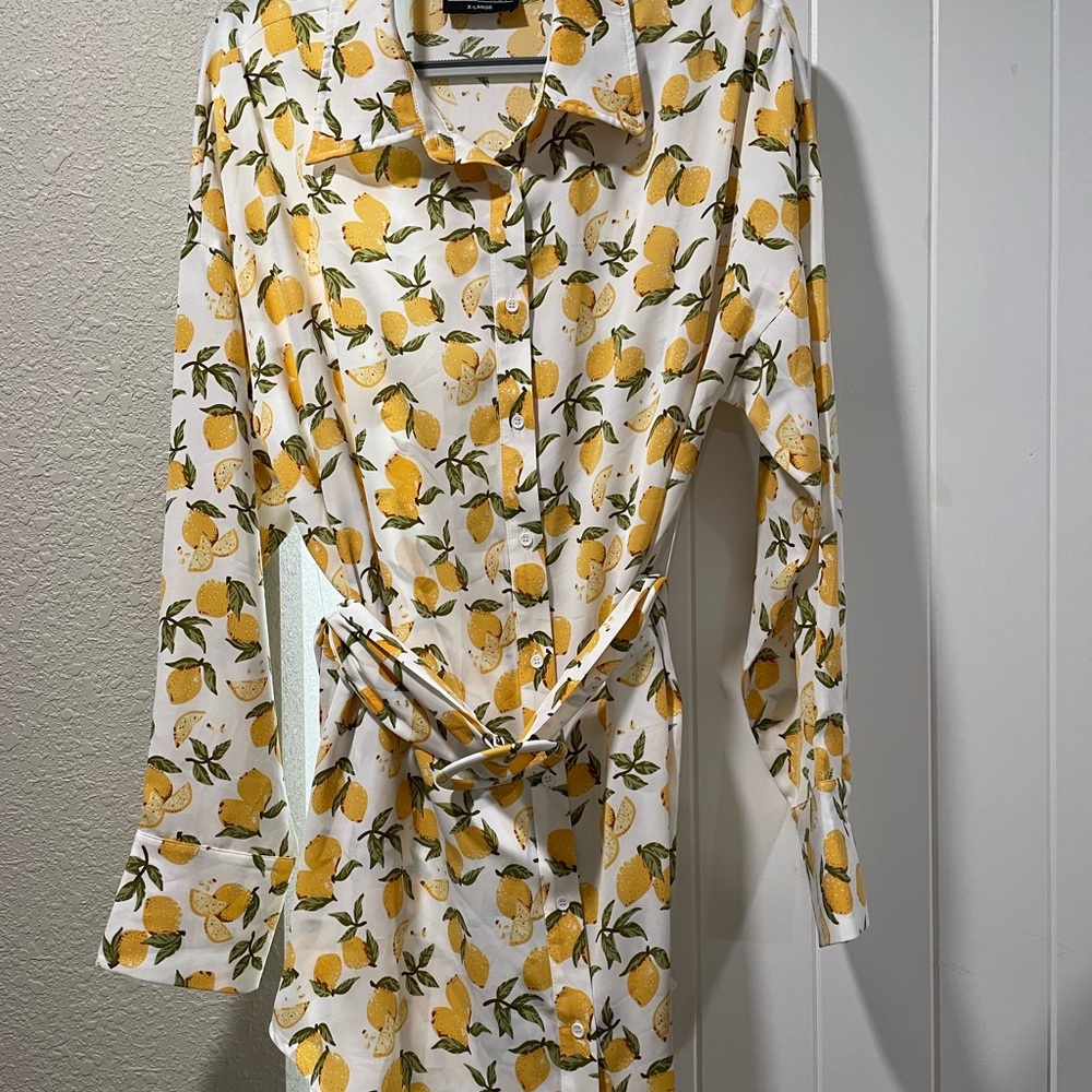 Kittenish Citrus Print Shirt Dress